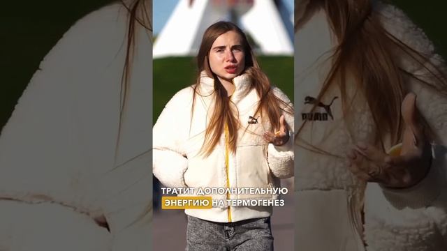 Сжигают ли прогулки на холоде больше калорий? #пп #какпохудеть #какпохудетьклету #какпохудетьбездиет