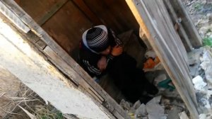 Мальчику приспичело во время игры