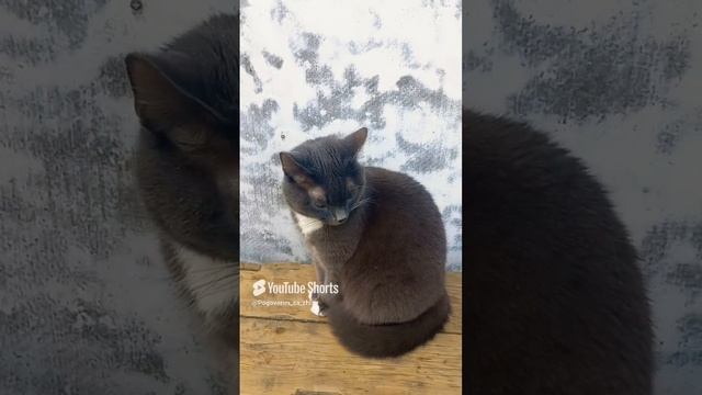 Работать?))))