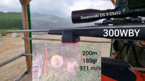 Карабина 300WBY и дневна оптика Swarovski DS 5-25x52