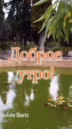 Доброе утро, хорошего настроения в любую погоду #дождьвялте источник youtube.com/@yaltafamily