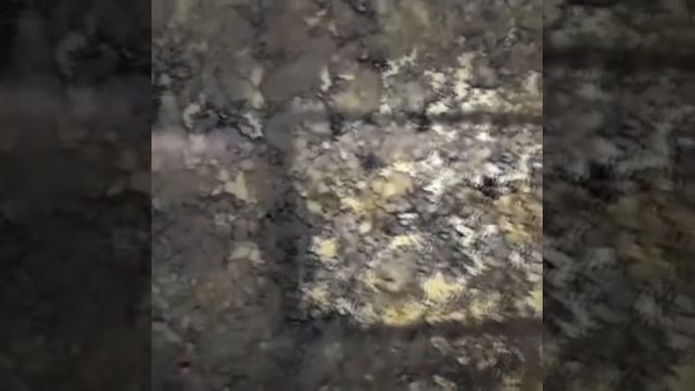 Новый кварцевый камень (кварцевый агломерат) работающий на просвет смотреть онлайн