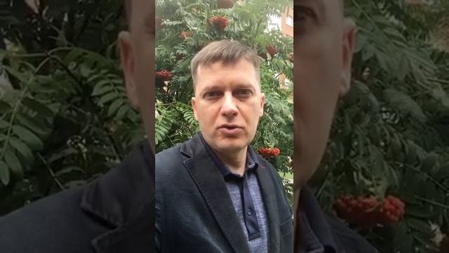 Таможенный представитель. Зачем он нужен и с кем лучше работать.