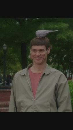 Тупой и еще тупее 2 (Dumb and Dumber To) (2014)