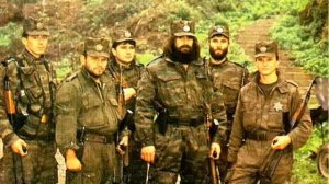 Baja mali knindza - prepelice prepelice.flv