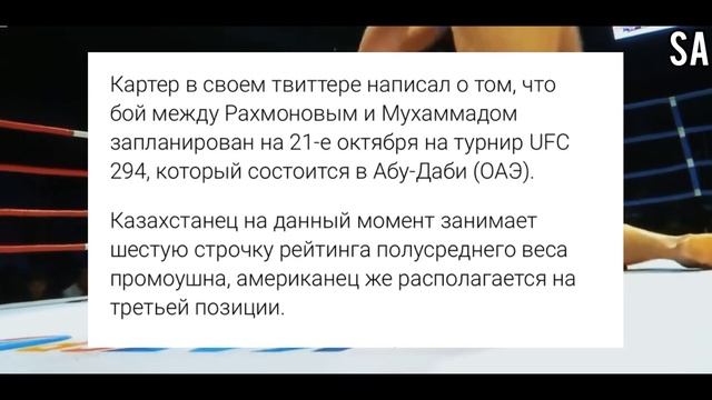 Шавкат Рахмонов получил топового соперника в UFC. Есть дата боя