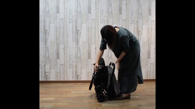 Pali aigo one hand Open Close short Ver смотреть онлайн