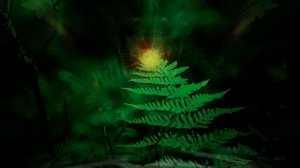 A Night in July Unearthly Meditative Ambient mix music