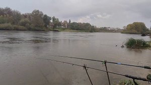 плотва, голавль, поклёвки без монтажа, 12 октября....