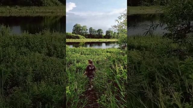 Уральская природа #уралочка #деревенскаяжизнь #лето #природа #река