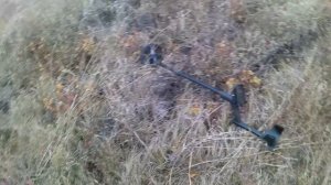 Коп металлом 10 Октября 2024 г, Пришла холодная осень