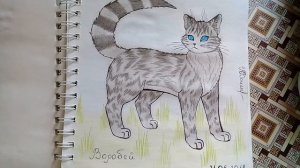 Рисунки Котов-Воителей #8 (Конец)