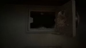 Банная печь Хоттабыч. Флагманская печь Россохина, прототип печи ПАРМАСТЕР