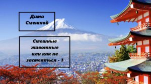 смешные про животные или как не засмеяться - 1