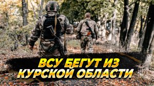 ВСУ бегут из Курской области - новости