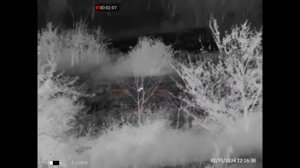 Еще пару вечеров охоты Александра в Ростовских степях. Прицел Guide TR430