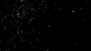 4186948-hd_1920_1080_25fps