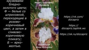 ИРИС THUNDERING OVATION #ирисы #клематисы #лилейники