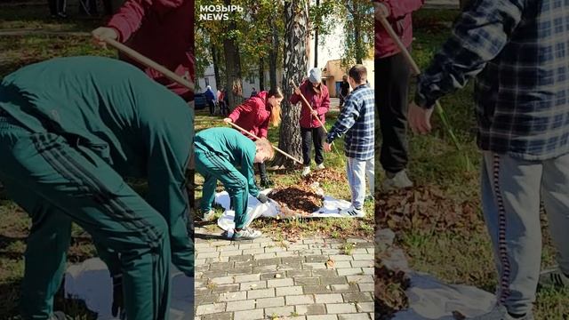 Молодежный субботник во дворах на улице Пролетарской