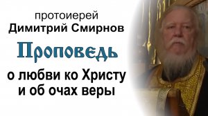 Проповедь о любви ко Христу и об очах веры (2016.12.24). Протоиерей Димитрий Смирнов