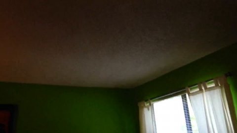 США. АРЕНДА АПАРТАМЕНТОВ от $770 в мес. Орландо, Флорида, УСЛОВИЯ, ЦЕНЫ