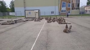 Школьники выполняют команды "вспышки справа, слева, с фронта...Всем весело)))