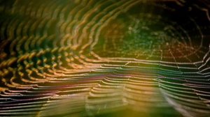 винтаж - 21 грамм.