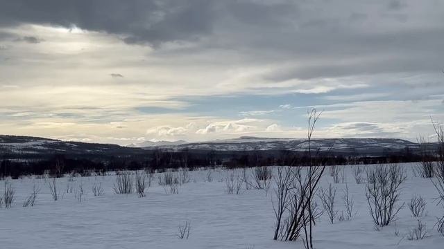 Автозимник Анавгай-Палана, 2000км приключений ESCUDO и PAJERO