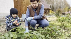 ПЕРВЫЕ ЗАМОРОЗКИ.ЧТО ВЫЖИЛО