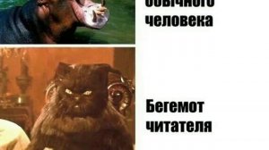 Лучшие мемы 2015-2016.