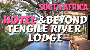 САФАРИ ПО ЗАПОВЕДНИКУ САБИ СЕНД, ЮАР И ОБЗОР ОТЕЛЯ &BEYOND TENGILE RIVER LODGE | АФРИКА