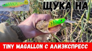 Ловлю на копию Tiny Magallon!? Оборвал оригинал Tiny Magallon!