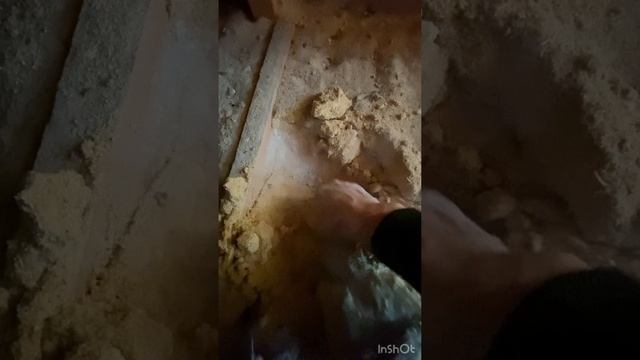 Утепление опилками. Баня