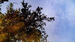5382332-uhd_3840_2160_30fps