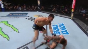 ТОП 5 ГЛУПЫХ ПОРАЖЕНИЙ БОЙЦОВ MMA