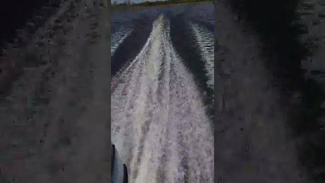 Yamaha 40hp 17ft cruiser смотреть онлайн