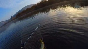 крым рыбалка озеро гасфорт сом и щука на кружки