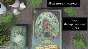 Таро ЗАЧАРОВАННОГО ЛЕСА. Обзор колоды..mp4