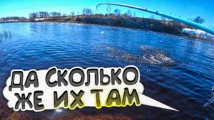 А это ЗАКОННО!? ТАКИМ СПОСОБОМ можно выловить всю РЫБУ!!!