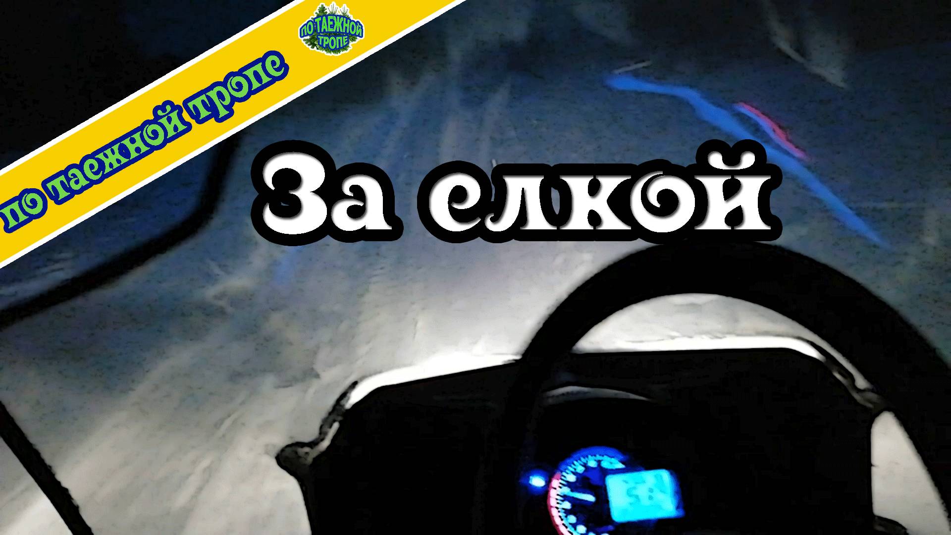 Охота в тайге: встречи с лесными обитателями смотреть онлайн