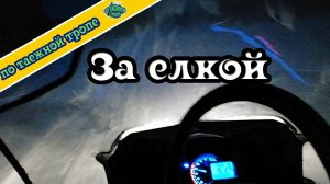 Охота в тайге: встречи с лесными обитателями