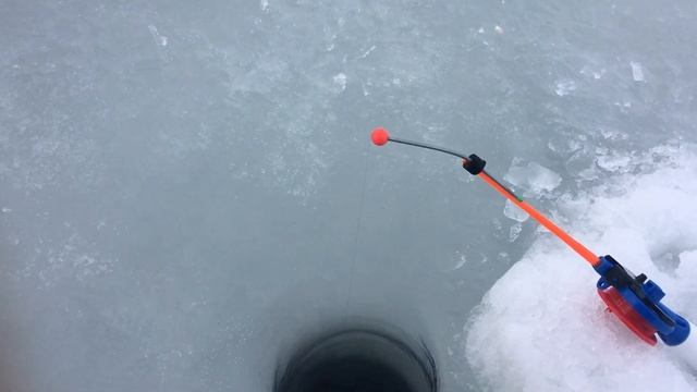 Корюшка Финский залив 2021 смотреть онлайн