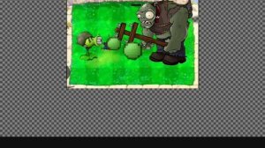 горох в пвз