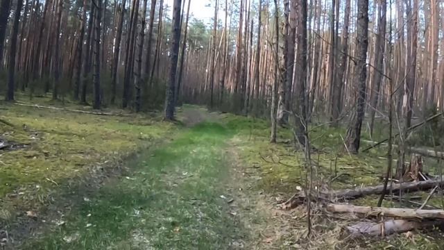 Бег