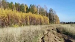 ВИДЕОКЛИП 'УЛЕТЕЛИ ЛИСТЬЯ С ТОПОЛЕЙ   '