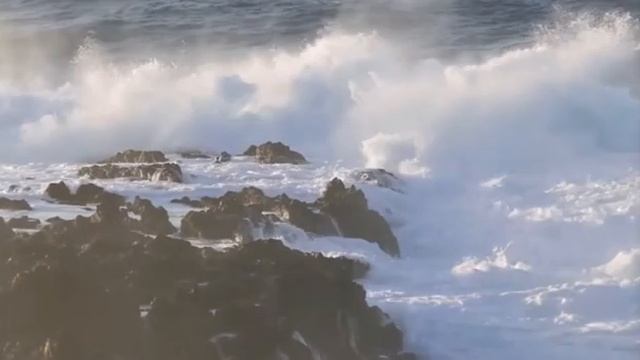 Музыка прибоя..., Стихи Наталья Василенко, муз. и исп. Самуил Фрумович смотреть онлайн