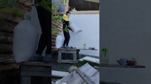 Продолжаем строить баню. Утепляем потолок!