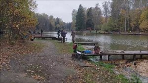 Открытие осеннего форелевого сезона на верхнем водоёме. Клёвое место, Лосиный остров.