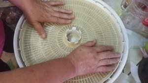 Лук репчатый шинкую для сушки в сушилке Вальтера 1000 люкс.