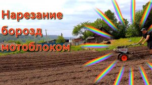 Посадка картошки с помощью мотоблока, нарезание борозд